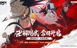 《BLEACH境·界》正版授权动作手游《境·界 刀鸣》「卍解测试」今日正式开启